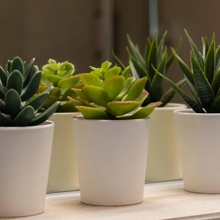 Апарт-отель Kolo Brzegu By Renters 3*