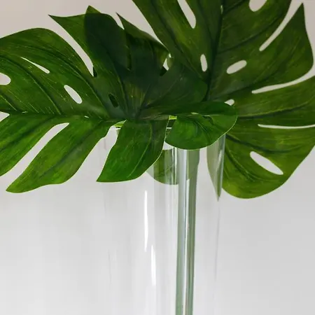 Kolo Brzegu By Renters Колобжег