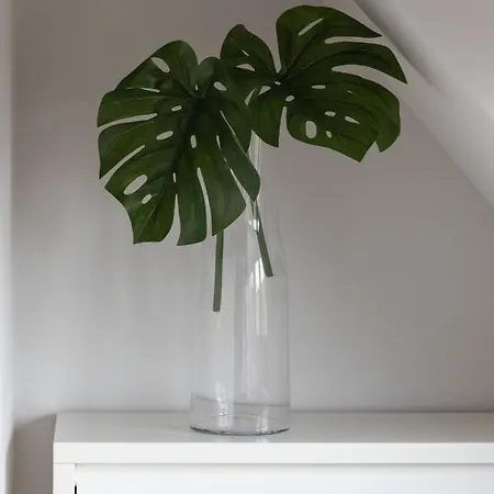 Kolo Brzegu By Renters 3* Kolobrzeg