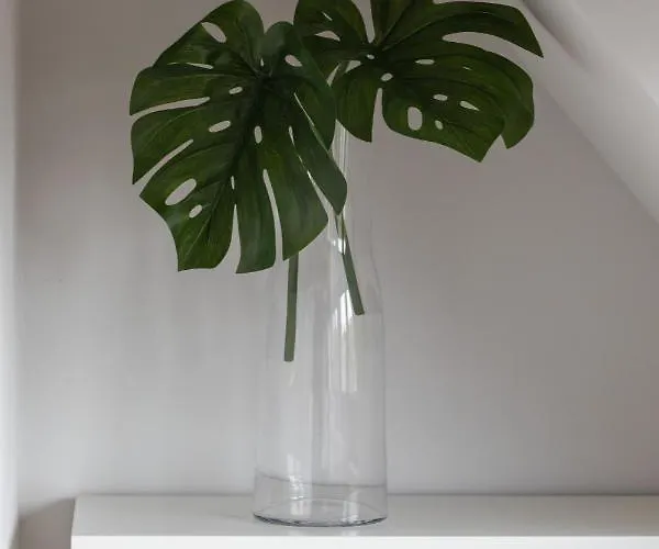 Kolo Brzegu By Renters 3* Kolobřeh