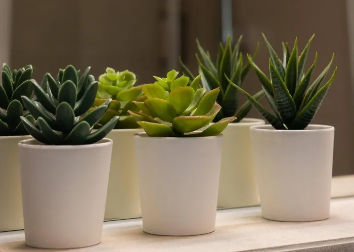 Aparthotel Kolo Brzegu By Renters 3*