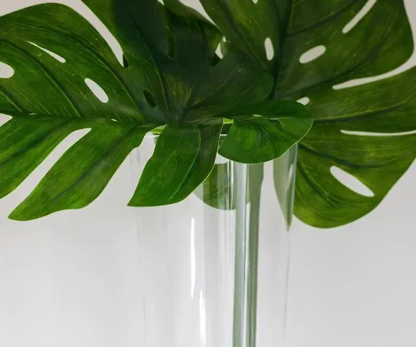 Kolo Brzegu By Renters Kolobřeh